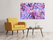 Load image into Gallery viewer, Canvas print Gorgeous cherry blossom
