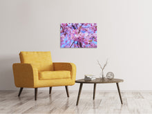 Load image into Gallery viewer, Canvas print Gorgeous cherry blossom
