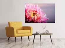 Load image into Gallery viewer, Canvas print Macro chrysanthemum
