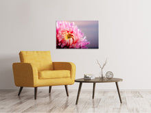 Load image into Gallery viewer, Canvas print Macro chrysanthemum
