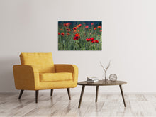 Load image into Gallery viewer, Canvas print Wild poppy
