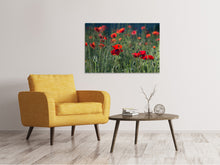 Load image into Gallery viewer, Canvas print Wild poppy
