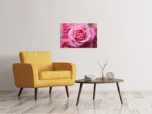 Load image into Gallery viewer, Canvas print Roses macro
