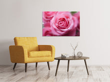 Load image into Gallery viewer, Canvas print Roses macro
