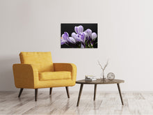 Load image into Gallery viewer, Canvas print The crocus
