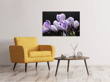 Load image into Gallery viewer, Canvas print The crocus
