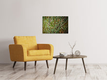 Load image into Gallery viewer, Canvas print Rosemary XXL
