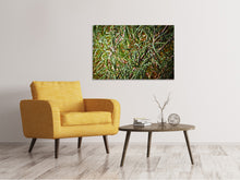 Load image into Gallery viewer, Canvas print Rosemary XXL
