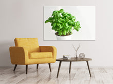 Load image into Gallery viewer, Canvas print Basil in the pot
