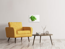 Load image into Gallery viewer, Canvas print Basil in the pot
