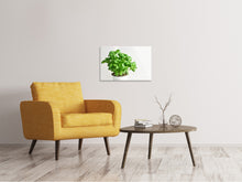 Load image into Gallery viewer, Canvas print Basil in the pot
