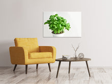 Load image into Gallery viewer, Canvas print Basil in the pot
