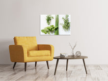 Load image into Gallery viewer, Canvas print Fresh herbs
