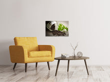 Load image into Gallery viewer, Canvas print poppy seed
