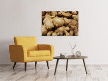 Load image into Gallery viewer, Canvas print Ginger tubers
