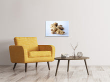 Load image into Gallery viewer, Canvas print Fresh ginger tuber
