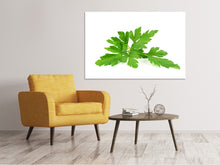 Load image into Gallery viewer, Canvas print Leaves of parsley

