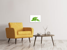 Load image into Gallery viewer, Canvas print Leaves of parsley
