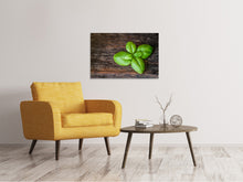 Load image into Gallery viewer, Canvas print Basil leaf in XXL

