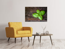 Load image into Gallery viewer, Canvas print Basil leaf in XXL
