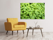 Load image into Gallery viewer, Canvas print All basil
