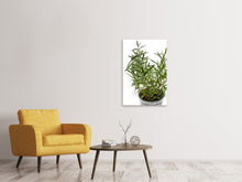 Load image into Gallery viewer, Canvas print Rosemary in the pot
