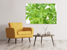 Load image into Gallery viewer, Canvas print Basil in XXL

