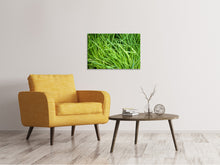 Load image into Gallery viewer, Canvas print Fresh chives XL
