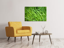 Load image into Gallery viewer, Canvas print Fresh chives XL
