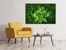 Load image into Gallery viewer, Canvas print Fresh parsley
