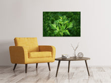 Load image into Gallery viewer, Canvas print Fresh parsley
