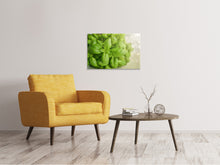 Load image into Gallery viewer, Canvas print A bouquet of basil
