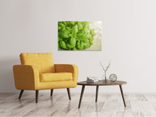 Load image into Gallery viewer, Canvas print A bouquet of basil

