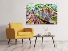 Load image into Gallery viewer, Canvas print Raw fish
