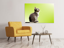 Load image into Gallery viewer, Canvas print Pop Art Cat XL

