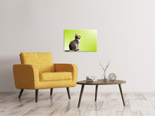 Load image into Gallery viewer, Canvas print Pop Art Cat XL
