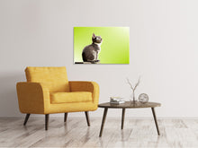 Load image into Gallery viewer, Canvas print Pop Art Cat XL
