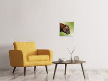 Load image into Gallery viewer, Canvas print Pop Art Tiger
