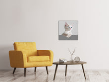 Load image into Gallery viewer, Canvas print Artwork cat
