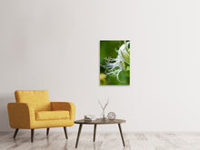 Load image into Gallery viewer, Canvas print Macro Florescence
