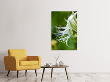 Load image into Gallery viewer, Canvas print Macro Florescence
