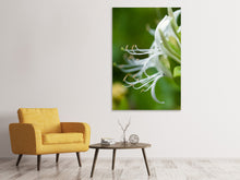 Load image into Gallery viewer, Canvas print Macro Florescence
