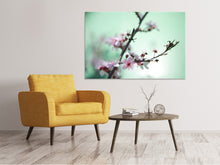 Load image into Gallery viewer, Canvas print Beautiful Japanese Cherry Blossom
