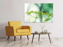 Load image into Gallery viewer, Canvas print XXL Parsnip
