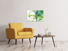 Load image into Gallery viewer, Canvas print XXL Parsnip
