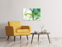 Load image into Gallery viewer, Canvas print XXL Parsnip
