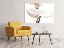 Load image into Gallery viewer, Canvas print XXL Orchid Flower
