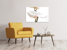Load image into Gallery viewer, Canvas print XXL Orchid Flower

