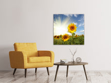 Load image into Gallery viewer, Canvas print Sunflower In Sunlight
