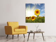 Load image into Gallery viewer, Canvas print Sunflower In Sunlight
